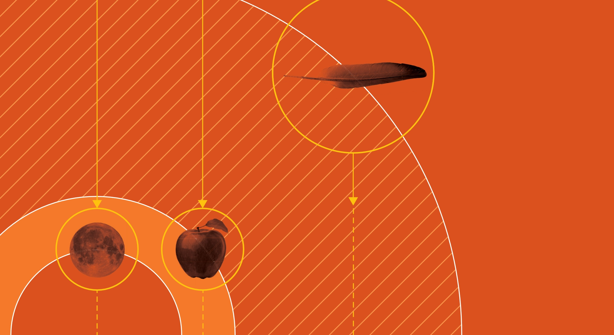 An abstract illustration to represent classic physics. Featuring a moon, apple, and feather presented with simple circles, lines and arrows graphics to illustrate orbits and gravity.